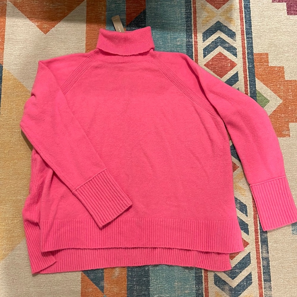 Cute Pink Sweater from J.Crew With Tag